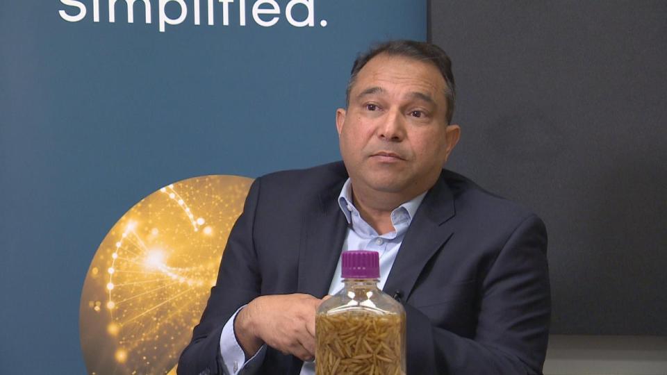 Masood Rizvi, the manager of NRGene Canada, said they're trying to research black soldier flies to modify their genetics and get more protein out the flies' larvae.