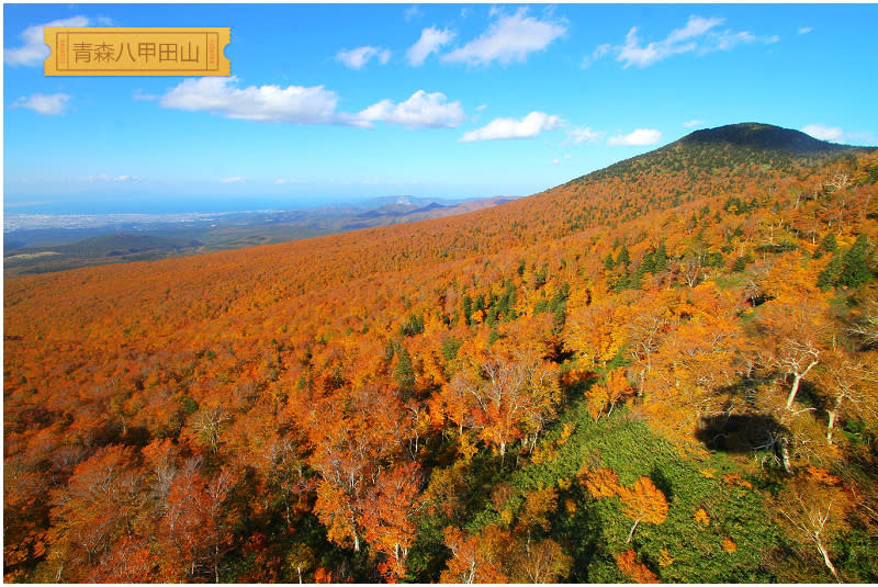 八甲田山紅葉絕景