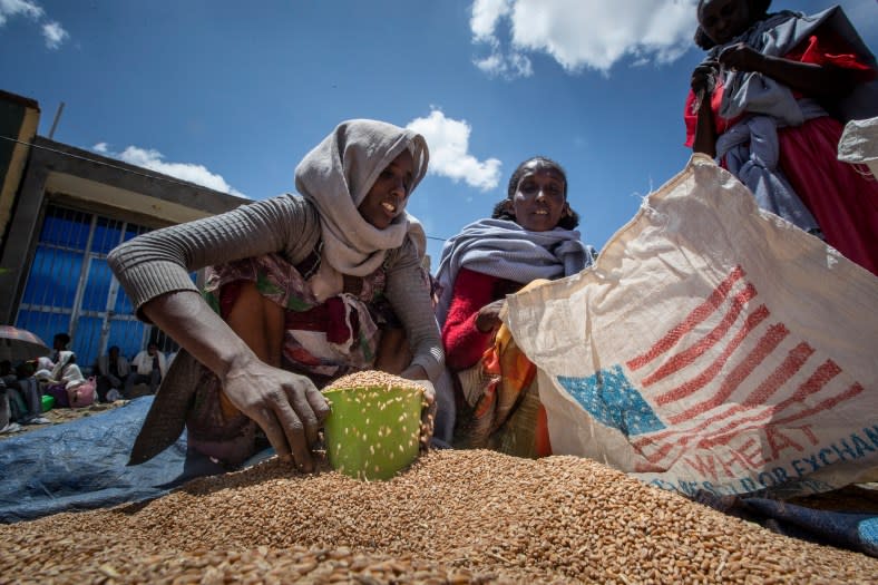 An Ethiopian woman scoops up portions of wheat to be allocated to each waiting family after it was distributed by the Relief Society of Tigray in the town of Agula, in the Tigray region of northern Ethiopia on May 8, 2021. (AP Photo/Ben Curtis)