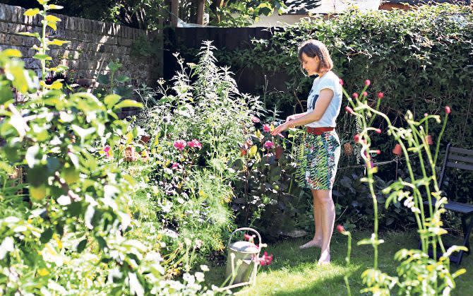 Learning curve: Vincent learned that not everything goes to plan in the garden - Clara Molden for The Telegraph
