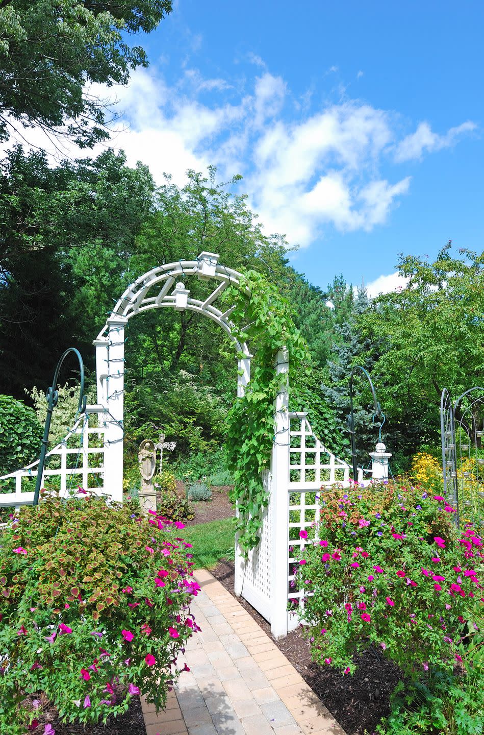 white fence and arch in the summer garden