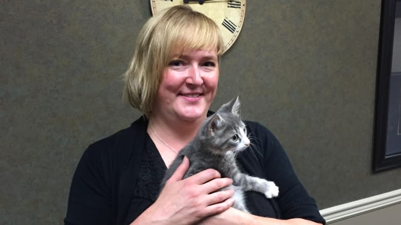 Regina Cat Rescue asks for help as capacity reached