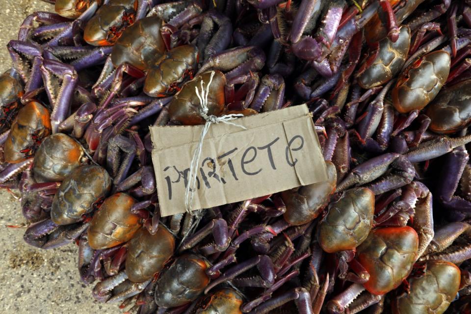 Crabs for sale at a fish market in Guayaquil, Ecuador.