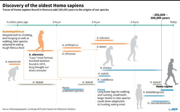 Graphic showing timeline relating to the discovery of the oldest Homo sapiens