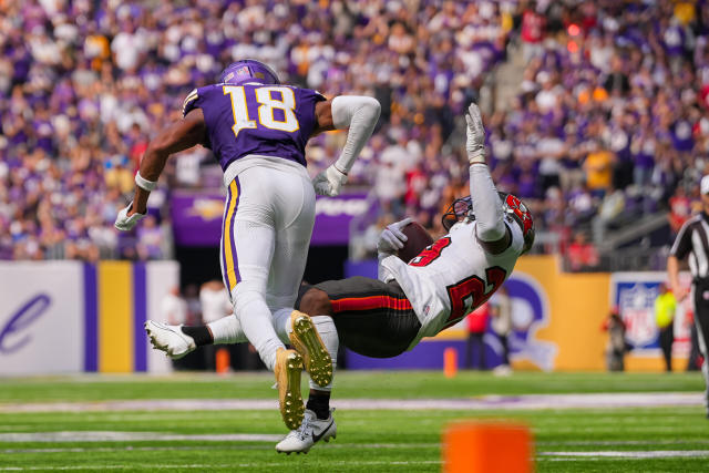 Vikings fall to Tampa Bay Bucs, 20-17, in season opener