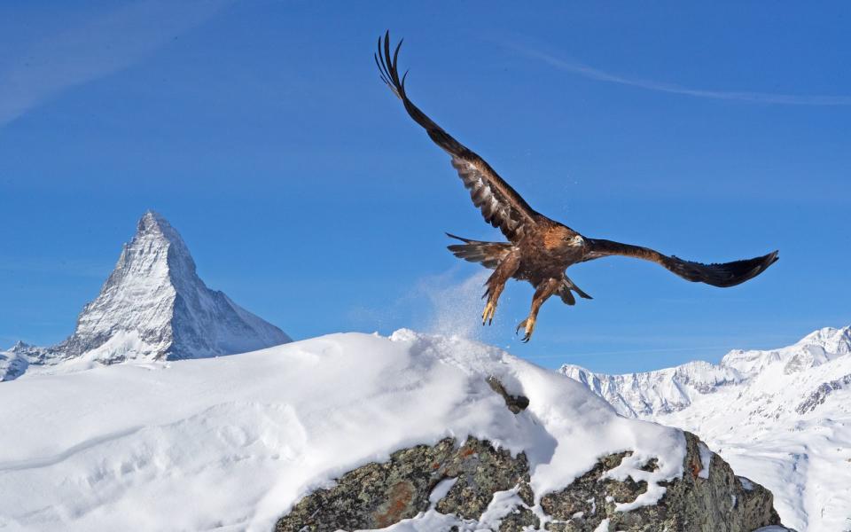 Die Natur vor der Kamera: So atemberaubend sind die Alpen