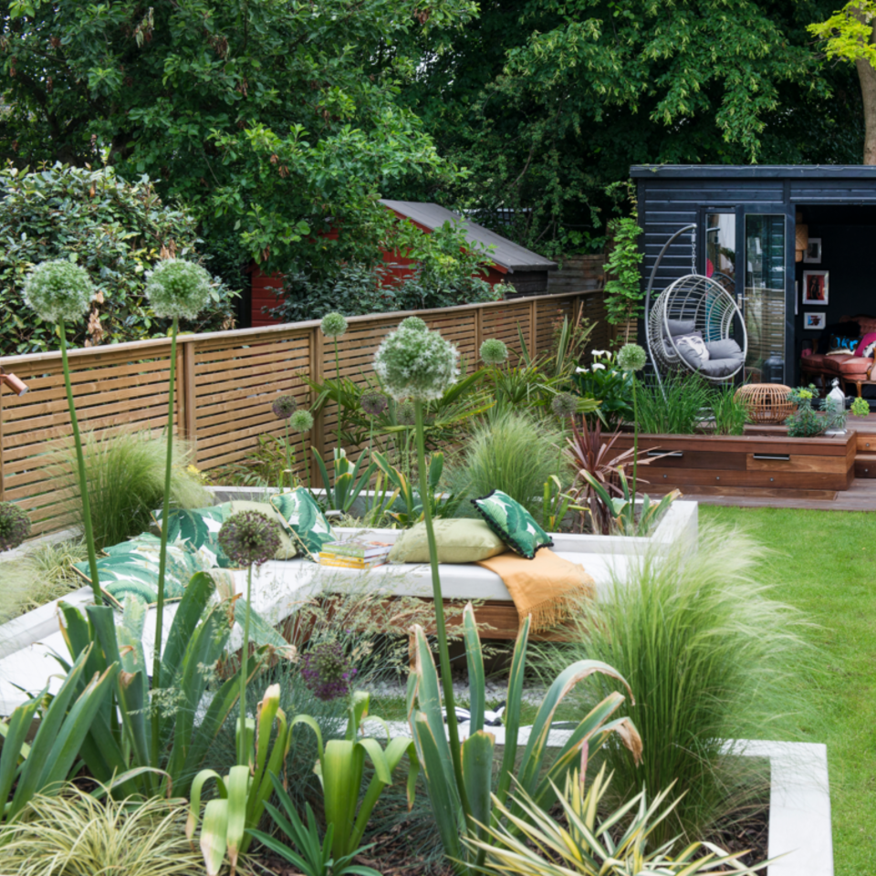 Alliums in a modern garden, photographed by Colin Poole