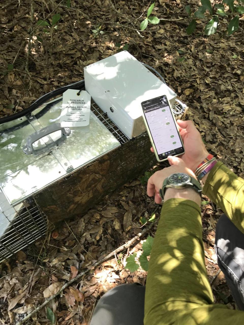 Una trampa con inteligencia artificial controlada de manera remota. Wild Vision Systems./UF cortesía