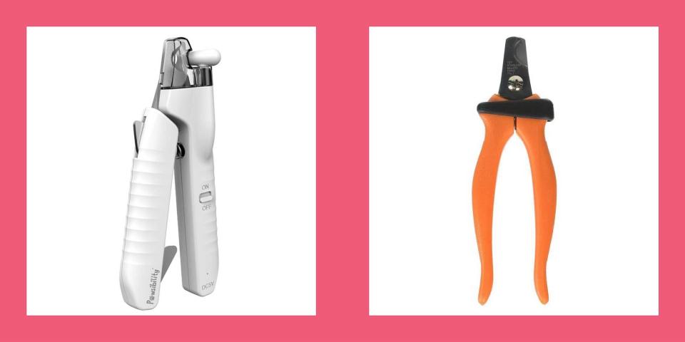 These Dog Nail Clippers and Grinders Will Keep Your Pup's Paws in Tip-Top Shape