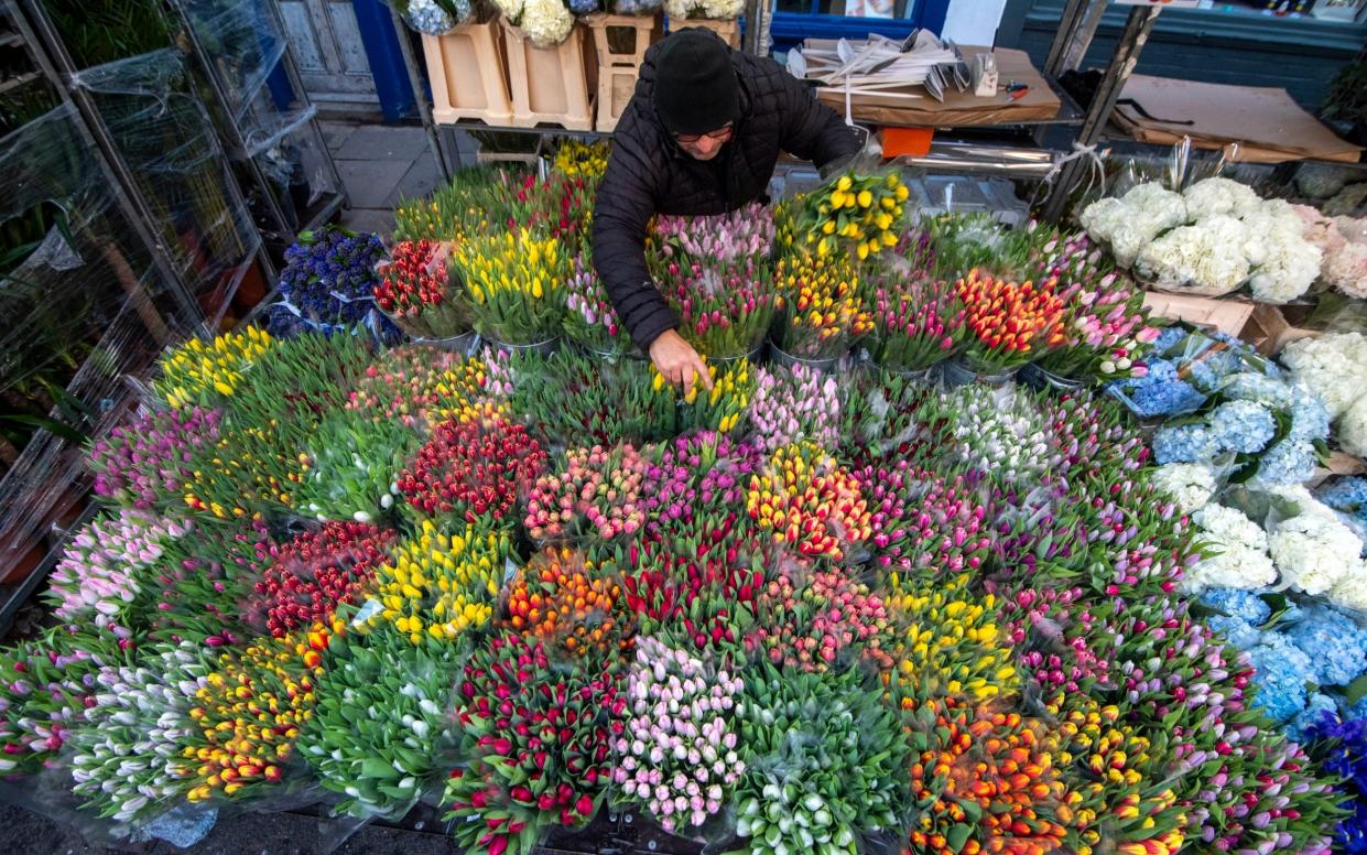 Columbia Road Flower Market - Paul Grover 