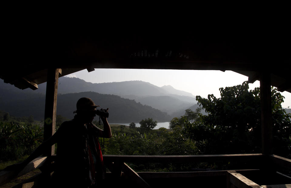 In this Friday, Nov. 9, 2018 photo, a tourist watches Amur Falcons fly over the Doyang reservoir near Pangti village, in the northeastern Indian state of Nagaland. The 8,000 residents of a remote tribal area in northeastern India are passing through extremely hectic days, playing hosts to millions of the migratory Amur Falcons from Siberia who roost by a massive reservoir before they take off to their final destination—Somalia, Kenya, and South Africa, traversing 22,000 kilometers. (AP Photo/Anupam Nath)