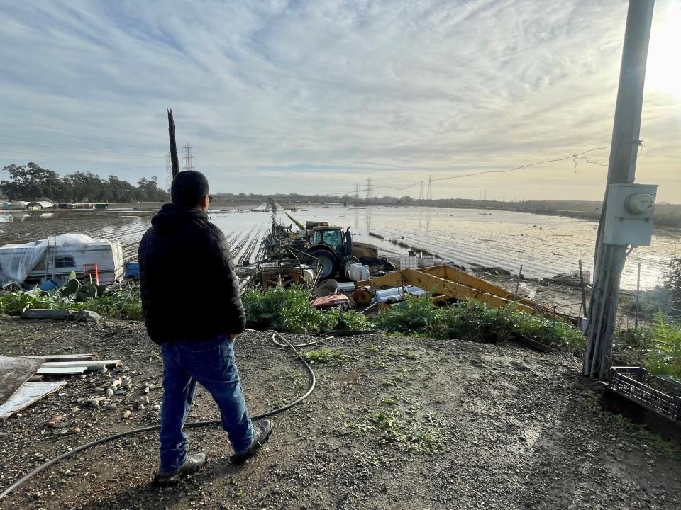 Jaime Lopez surveys flood damage to his 16 acres of strawberries along the Santa Clara River near Ventura on Jan. 10.