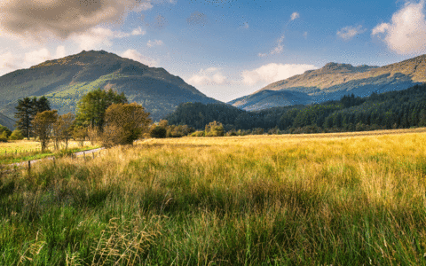 Arrochar - Credit: istock