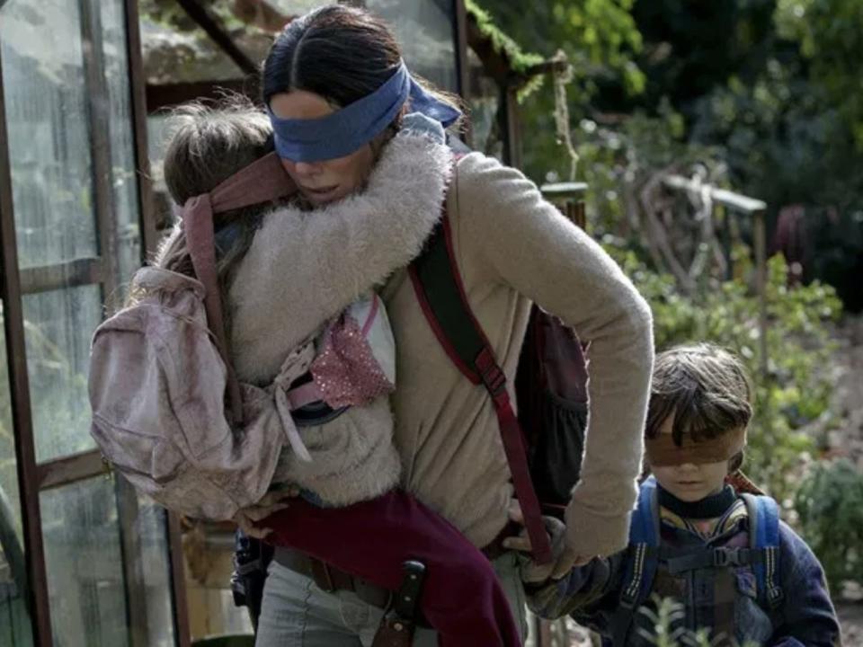 bird box