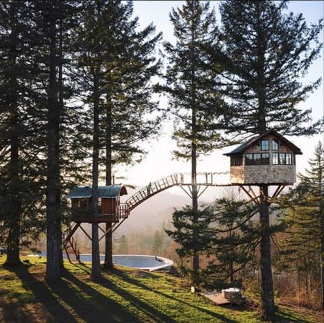 cinder cone tree house skate park