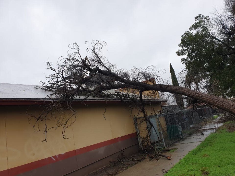 A downed tree lays over the roof of a building at the Merlo Institute in Stockton Jan 9.