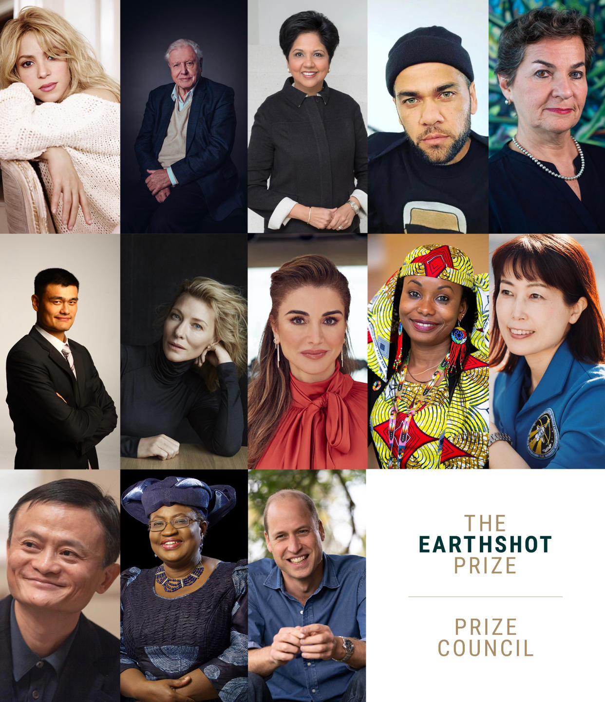 The full Earthshot Prize council has been confirmed, and includes Sir David Attenborough. (Royal Foundation)