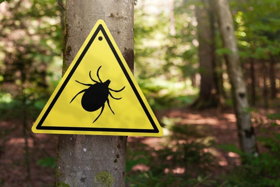 Where are the most cases of Lyme disease in NY? See rates in your county