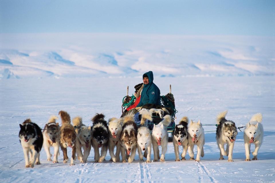 An Inuit hunter and his dogsled team - getty