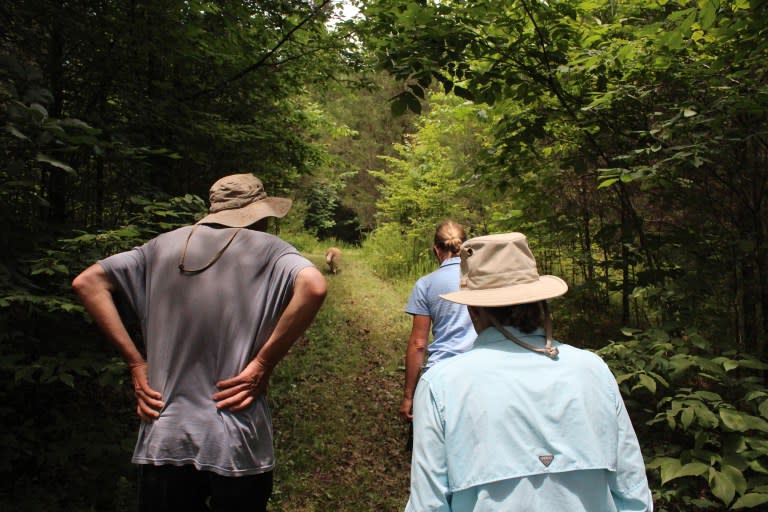 Larkspur Conservation, which offers natural burials, is part of a large park. (Photo: Larkspurconservation.org)