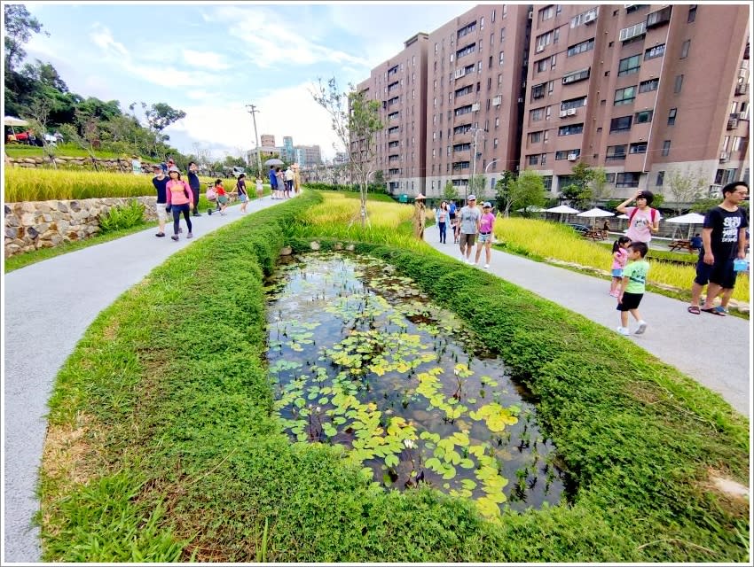 桃園｜大有梯田生態公園