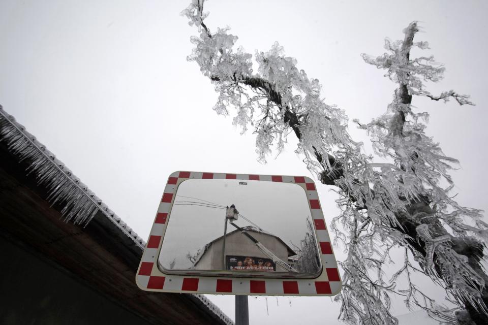Los árboles y el cableado eléctrico estaban totalmente congelados y sufrieron rupturas. REUTERS/Srdjan Zivulovic