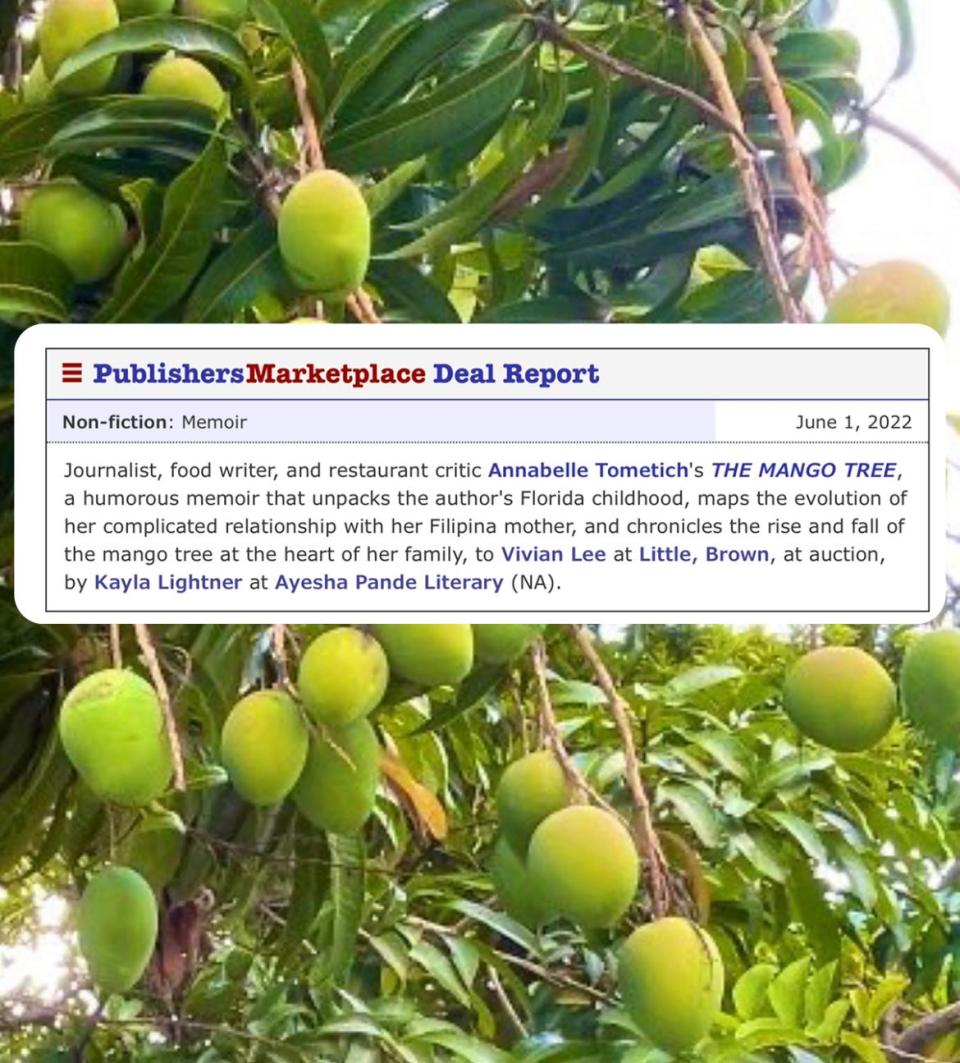 "The Mango Tree: A Memoir of Fruit, Florida, and Felony," a book from former News-Press staff writer Annabelle Tometich, is slated for publication in spring 2024.