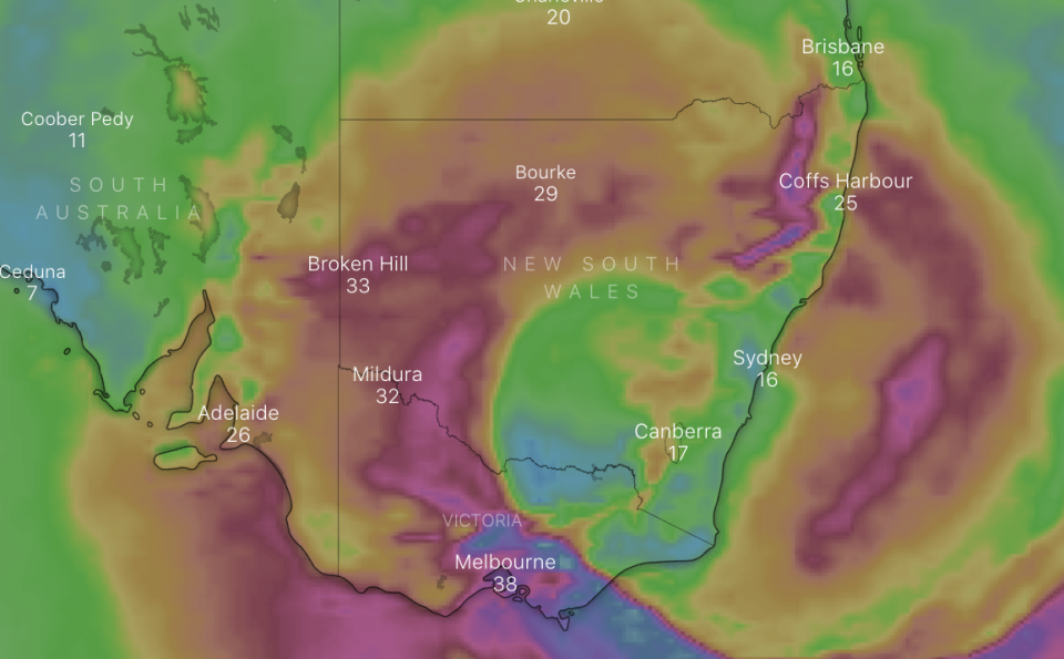 The dark purple areas show the strongest wind gusts in Victoria. Source: Windy.com