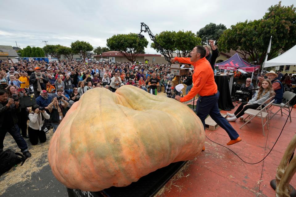Travis Gienger of Anoka, Minn., reacts after winning the Safeway 50th annual World Championship Pumpkin Weigh-Off in Half Moon Bay, Calif., Monday, October 9, 2023. Gienger won the event with a pumpkin weighing 2749 pounds.