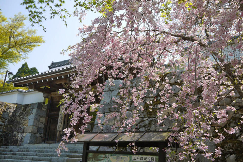 大原三千院