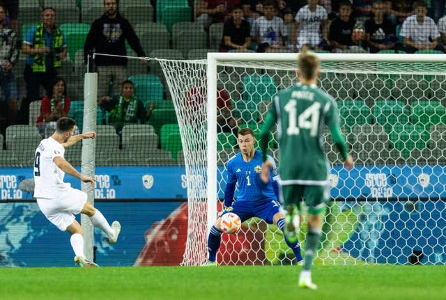 Slovenia’s Andraz Sporar (left) scores in the win over Northern Ireland last month