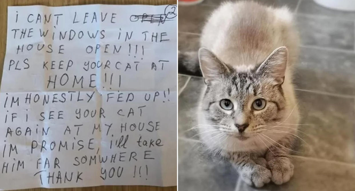 Un vecino enfadado le pegó una nota al gato Gandalf (Wales News).