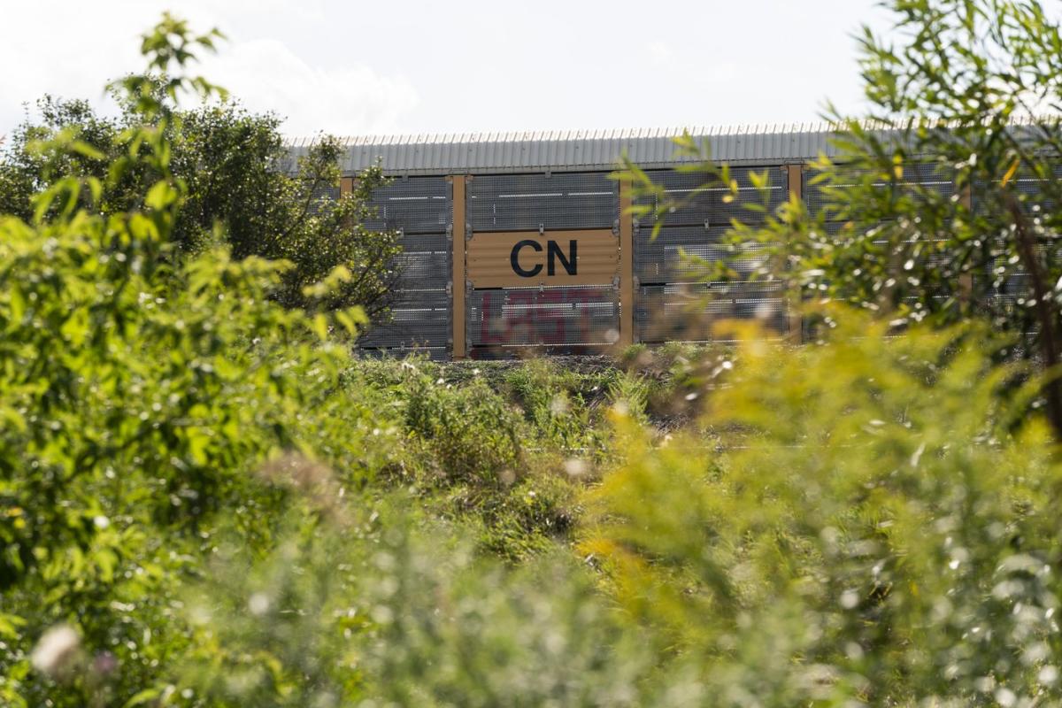 “Deeply disappointed”: Jasper mayor says CN Rail relocation will be devastating