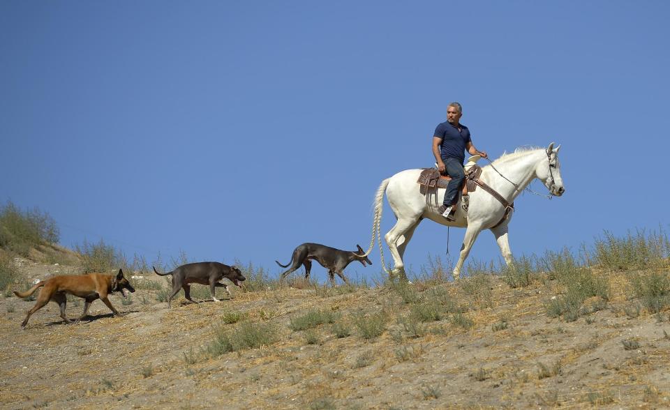 In this Oct. 18, 2012 photo, Cesar Millan rides his horse Conquistador as he walks with his dogs at his Dog Psychology Center, in Santa Clarita, Calif. Millan has a new television show, book, tour and documentary. "Cesar Millan: The Real Story" airs on Nat Geo Wild on Nov. 25, 2012. It will also launch a global speaking tour. (AP Photo/Mark J. Terrill)