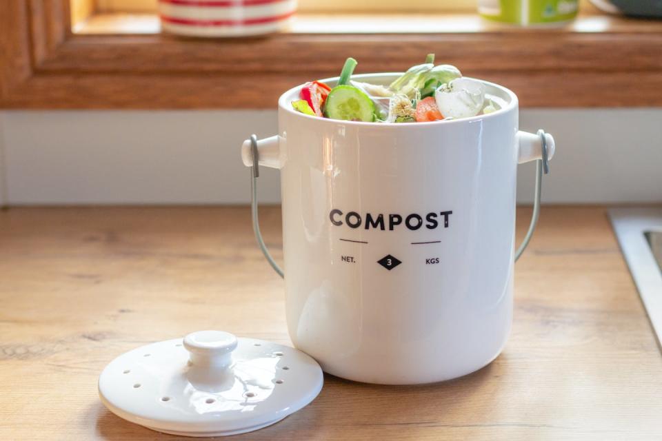 Compostable bin caddies are the main sustainable use for bioplastics at present. Shutterstock