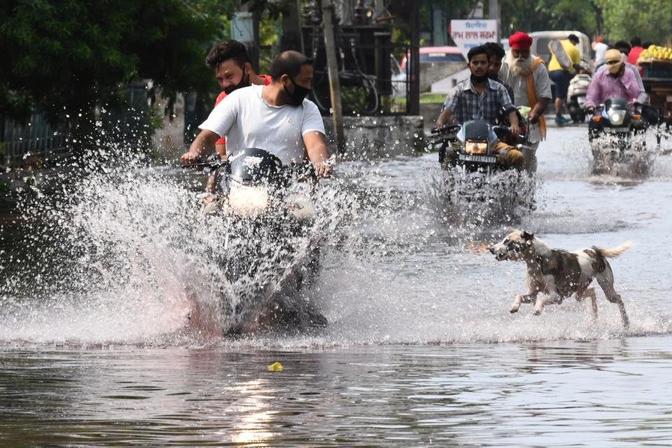 A dog chases a motorist along a water-logged street during heavy rain in Amritsar on July 19, 2020. (Photo by NARINDER NANU / AFP) (Photo by NARINDER NANU/AFP via Getty Images)