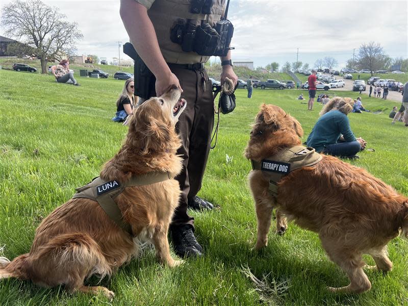 Two golden retriever therapy dogs, Luna and Nova, are accompanied by a law enforcement officer at Life Church in Mount Horeb on Wednesday to offer support to students following an active shooter incident.