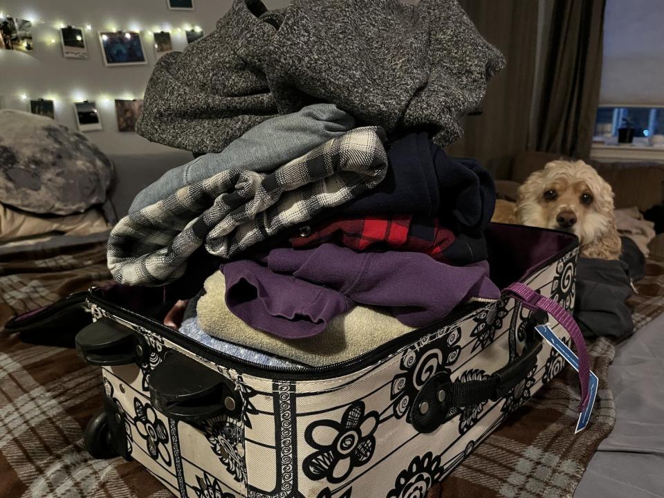 Many sweaters folded and added to a suitcase with dog behind it on bed