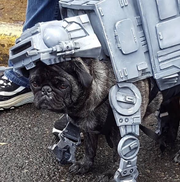 AT-AT (Bild: Instagram/ super13ionic13unny)