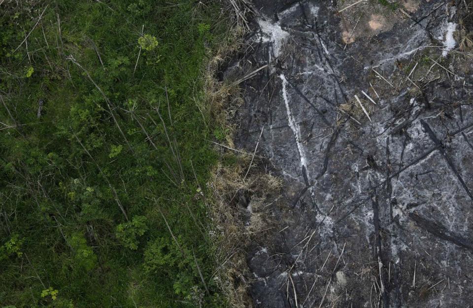 An area of the Amazon rainforest which has been slashed and burned stands next to a section of virgin forest in Nova Esperanca do Piria