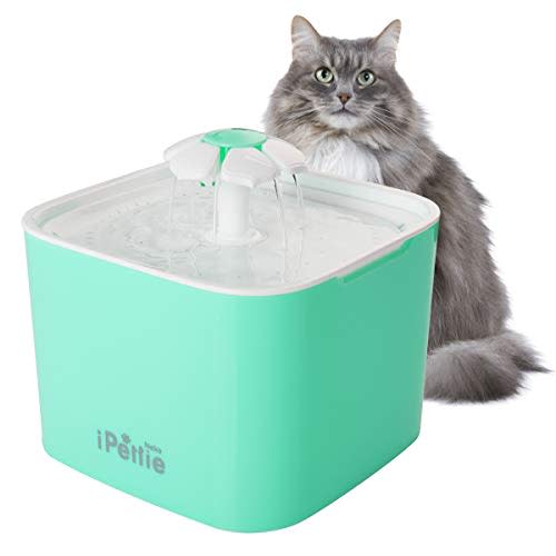 3) Pet Drinking Water Fountain