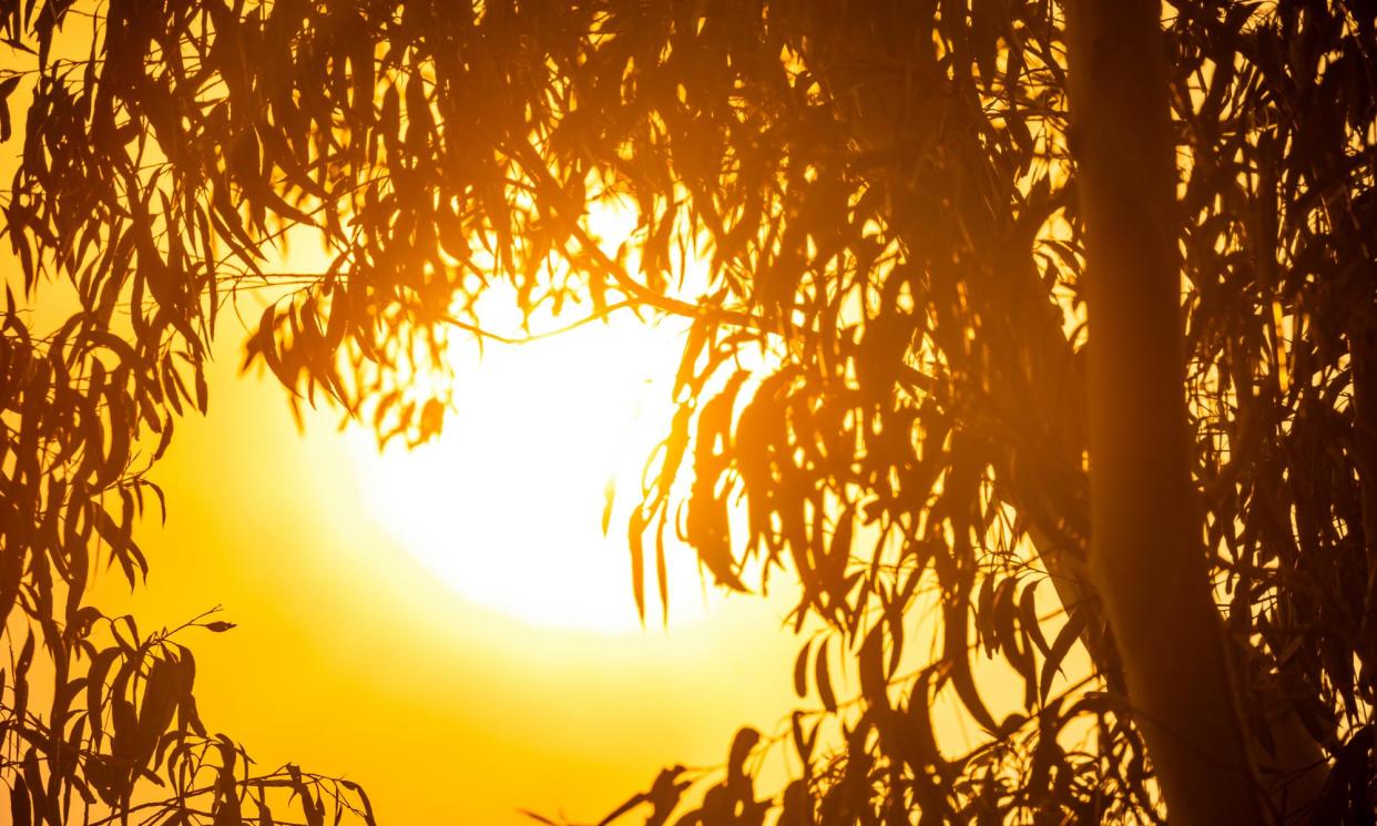 <span>The record-breaking warm weather is expected to continue this weekend with the Bureau of Meteorology issuing severe weather warnings for damaging winds in Victoria and Tasmania.</span><span>Photograph: Andrew Merry/Getty Images</span>