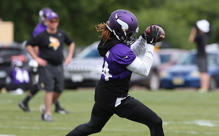 Minnesota Vikings wide receiver Cordarrelle Patterson could be a veteran that would interest Gang Green