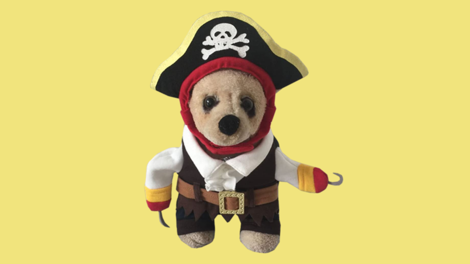 Popular Dog Costumes: Yolsun Caribbean Pirate Costume