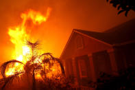 <p>Wildfires ripping through North and South California have lead to dozens of death and over 200 missing. Left behind are remnants of homes, cars, and creatures left to race the speed of the flames.<br>(Photos by Justin Sullivan/Getty Images) </p>