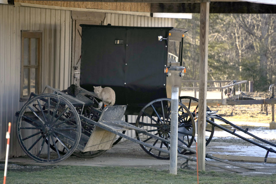 This is an Amish carriage parked in the yard of the home a few miles outside of Spartansburg, Pa., on Thursday, Feb. 29, 2024, where investigators discovered the body of a pregnant 23-year-old Amish woman on Monday. Pennsylvania State Police are appealing for tips from the public to help solve the crime, a state police spokeswoman said Wednesday. (AP Photo/Gene J. Puskar)