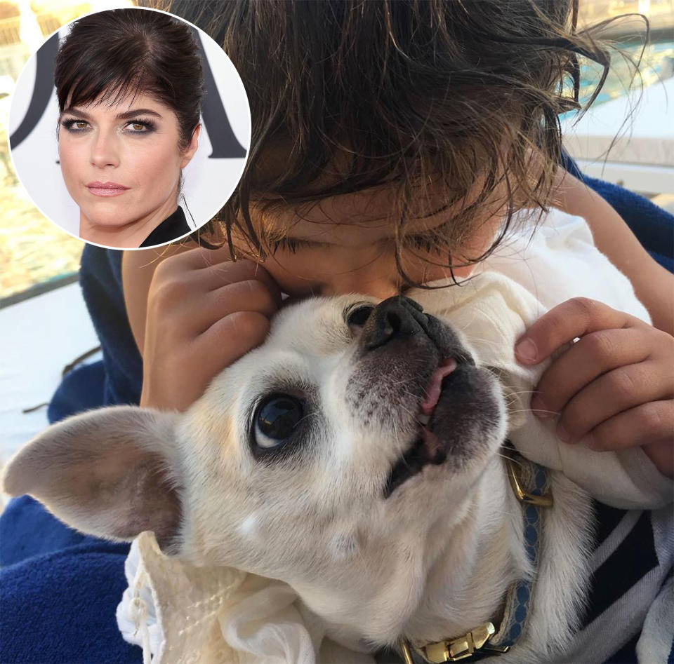 <p>Selma Blair <span>penned an emotional tribute</span> to the 13-year-old Chihuahua-pug and shared a picture of the pooch and her son, Arthur, on Instagram. "Run with the angels. We miss you so much. So much, sweet girl. Please send us our next dog. With the spirit of you and wink. Our hearts are broken,” the 45-year-old star wrote.</p>