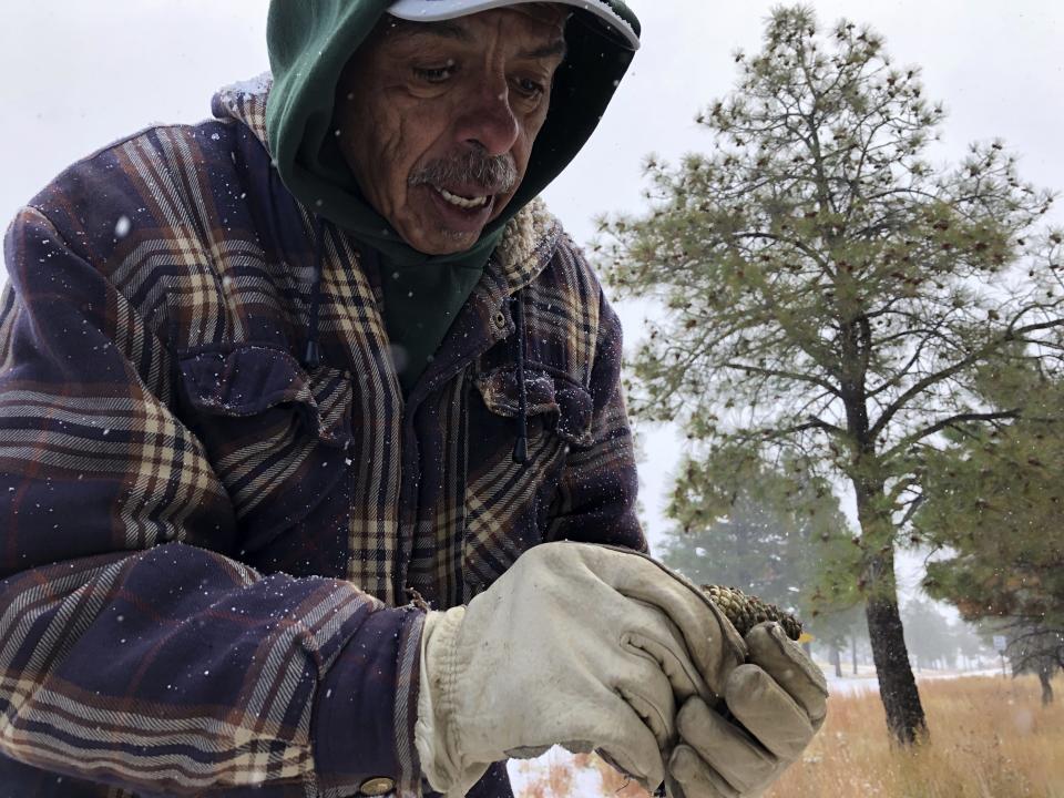 Steven Sandoval, with Santa Clara Pueblo’s forestry department, explains the attributes needed for a viable ponderosa pine seed during a demonstration at Bandelier National Monument near Los Alamos, N.M.