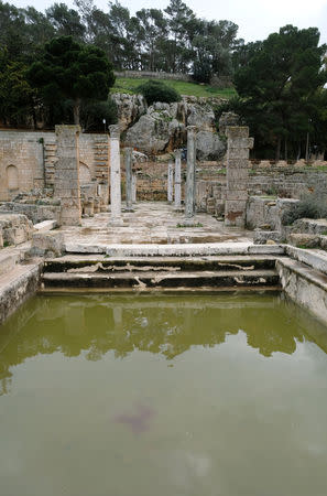 FILE PHOTO: A general view of the ancient ruins of the Greek and Roman city of Cyrene, in Shahhat, Libya February 9, 2019. REUTERS/Esam Omran Al-Fetori