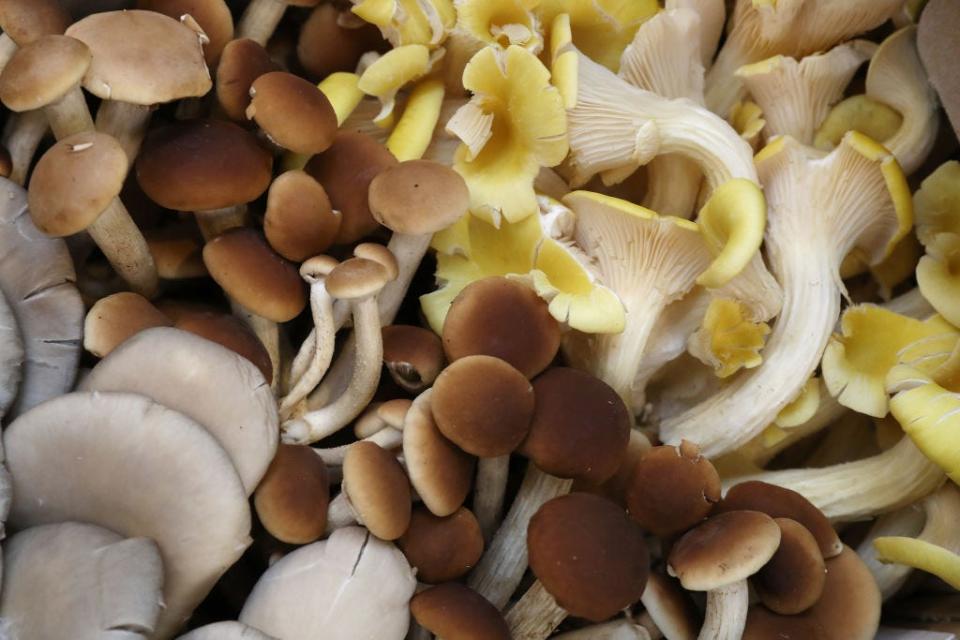 raw mushrooms